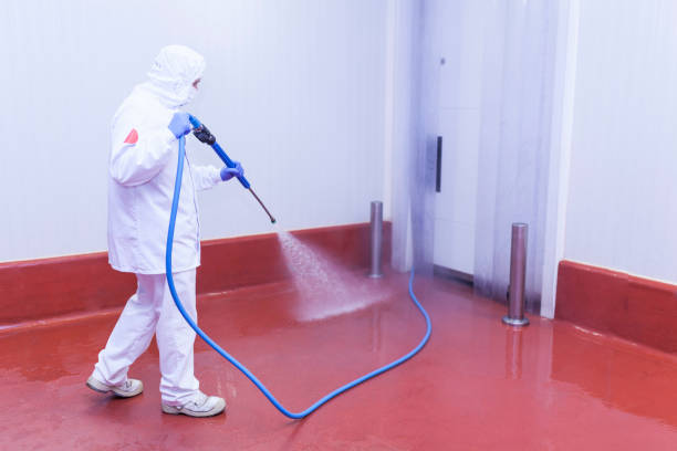 Best Patio and Deck Pressure Washing  in Arlington, WA