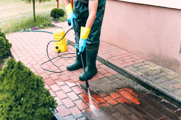 Trusted Arlington, WA Pressure Washing Services Experts